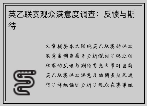 英乙联赛观众满意度调查：反馈与期待