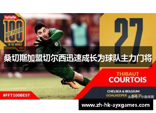 桑切斯加盟切尔西迅速成长为球队主力门将