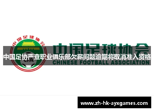 中国足协严查职业俱乐部欠薪问题逾期将取消准入资格 中国足协严查职业俱乐部欠薪问题逾期将取消准入资格